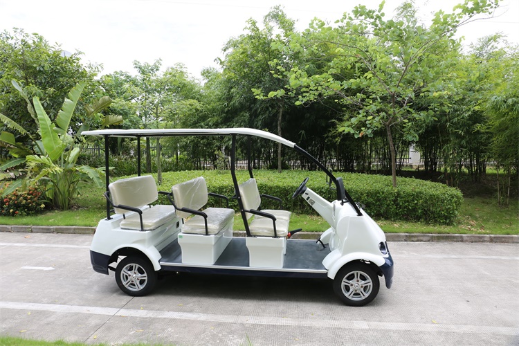 高校为什么适合引进电动观光车